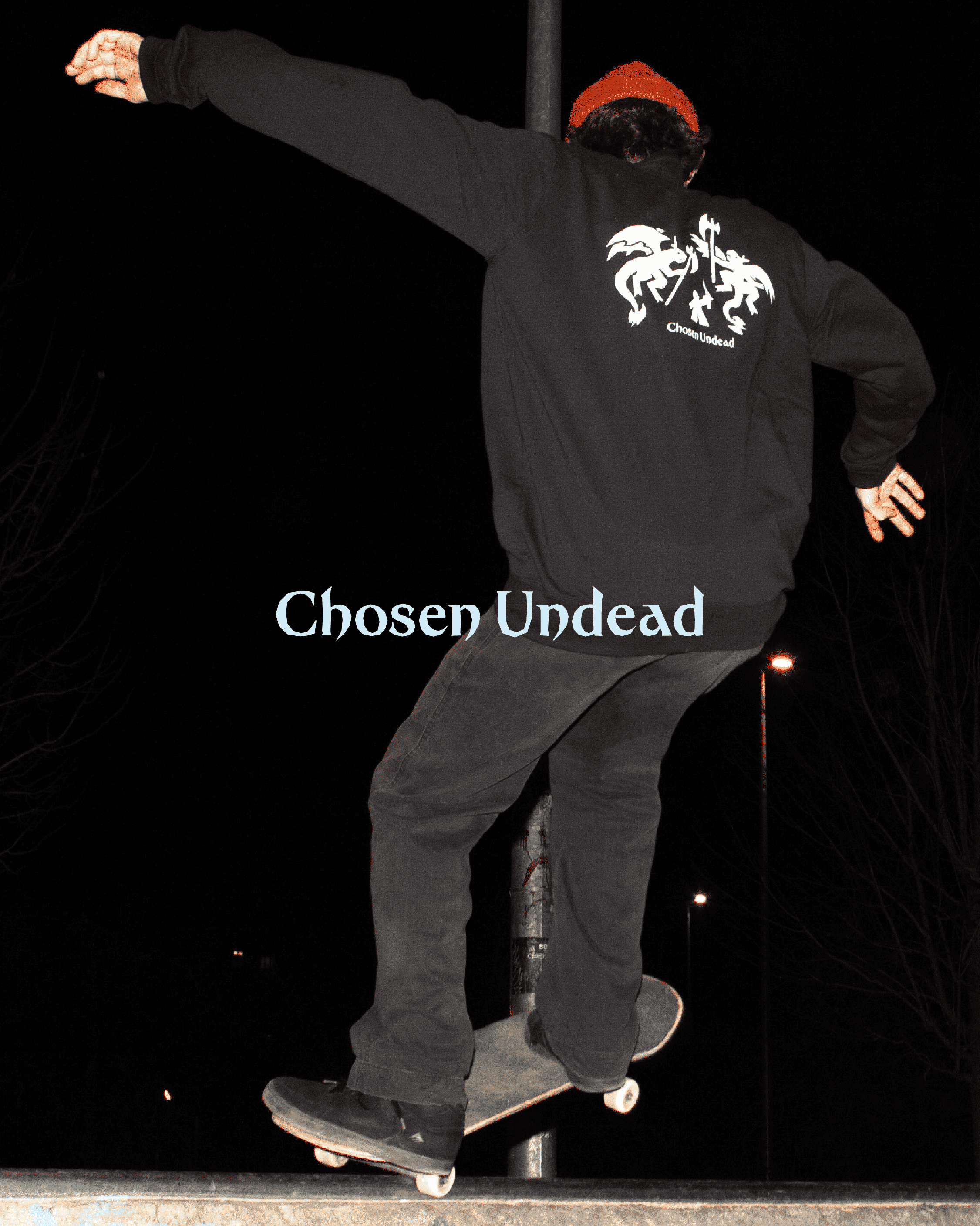 Chosen Undead illustration 4